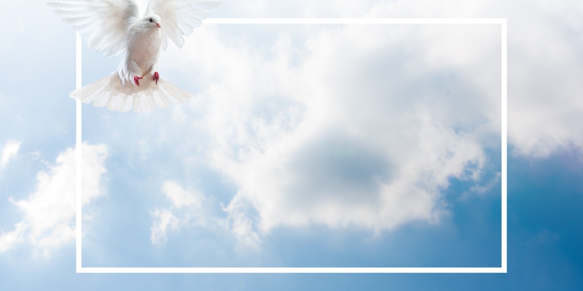 Revolutionizing Air Journey: Tavaero Jet Charter's Revolutionary Approach