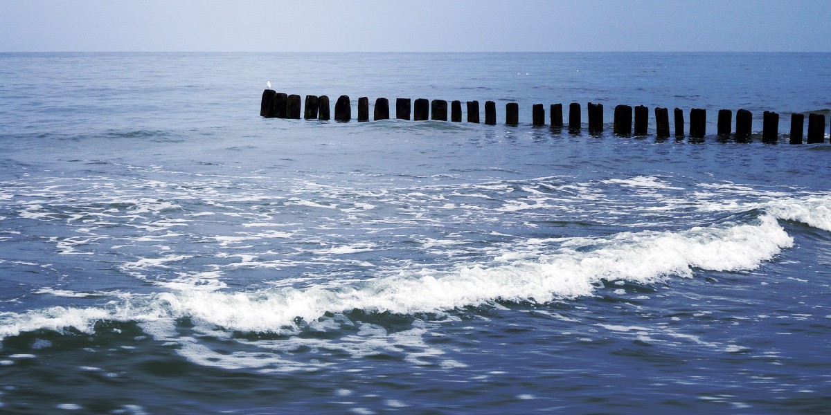 Exploring the Best Private Jet Charter Companies of 2023