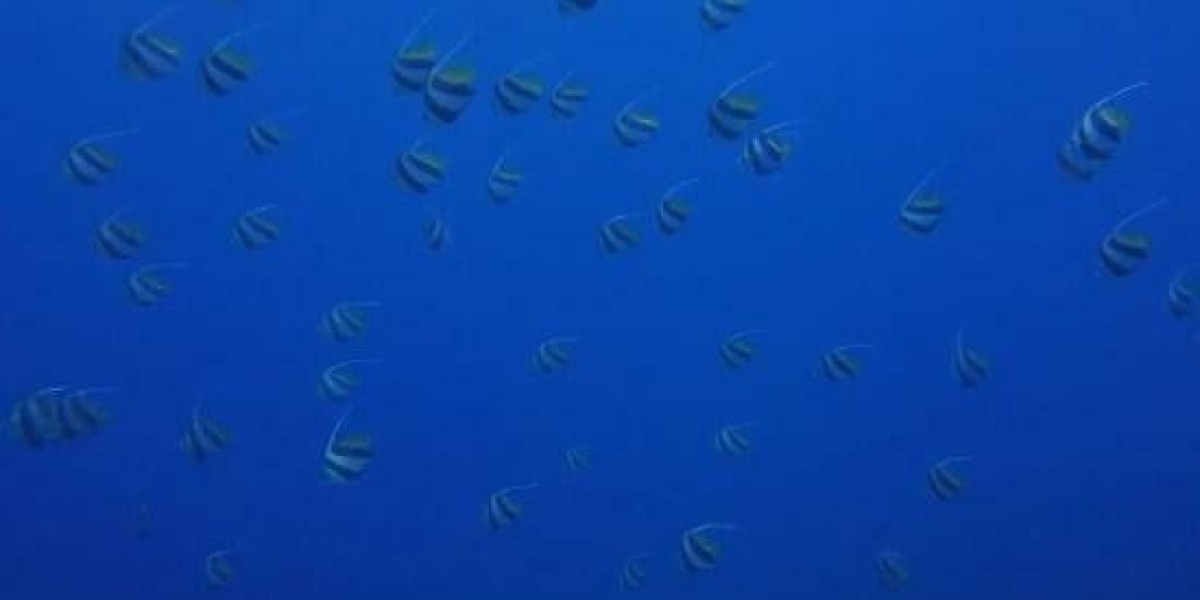 Understanding the BRRRR Method & how does It Work