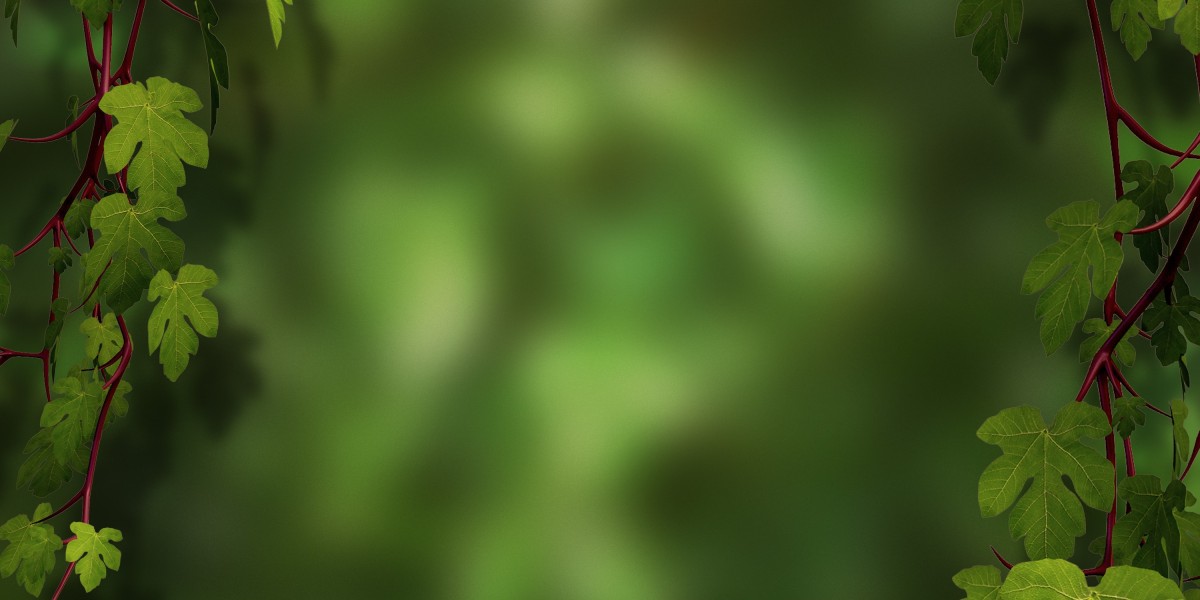 Exploring the Rise of Sugar Daddy Websites in Nottingham: A Brand new Era Of Connections