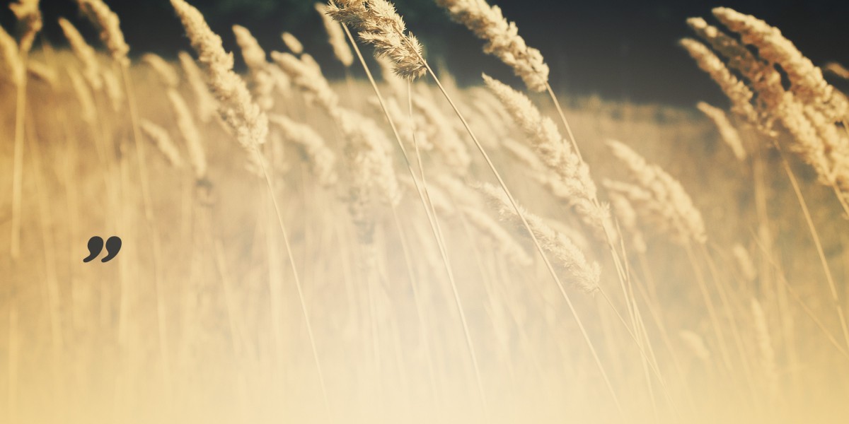 Best Ways to Buy Gold for Investment