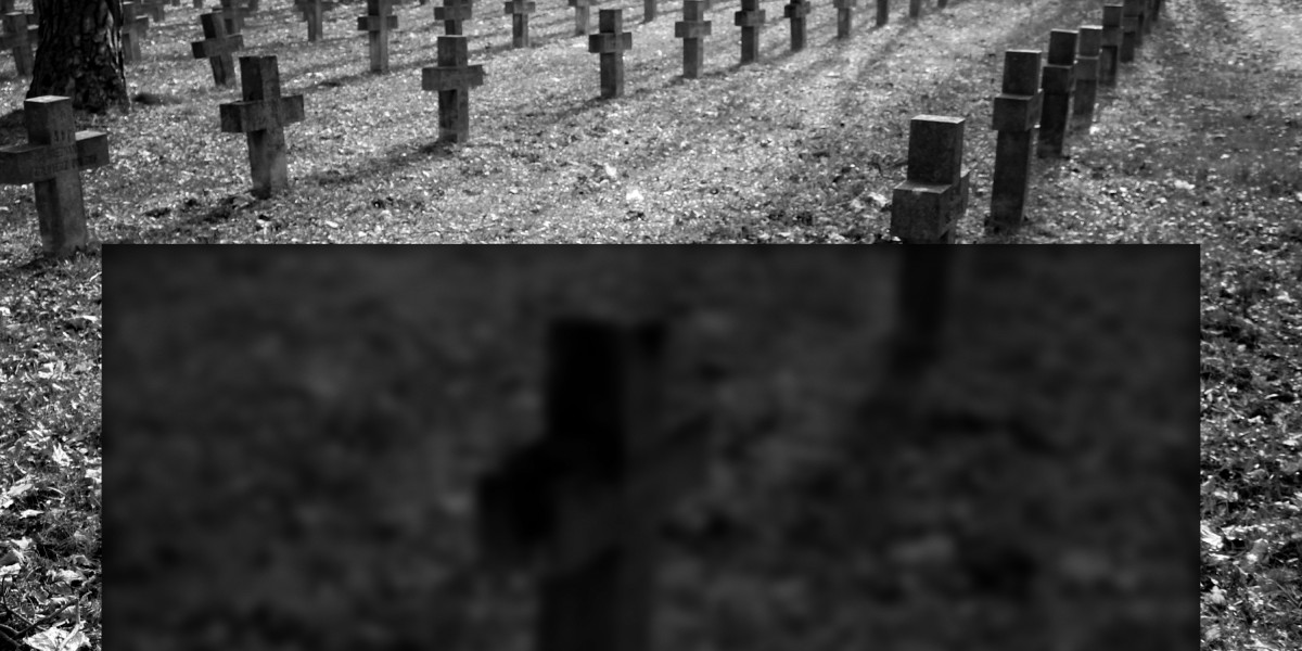 Best Gold IRA Accounts: A Comprehensive Examine Report