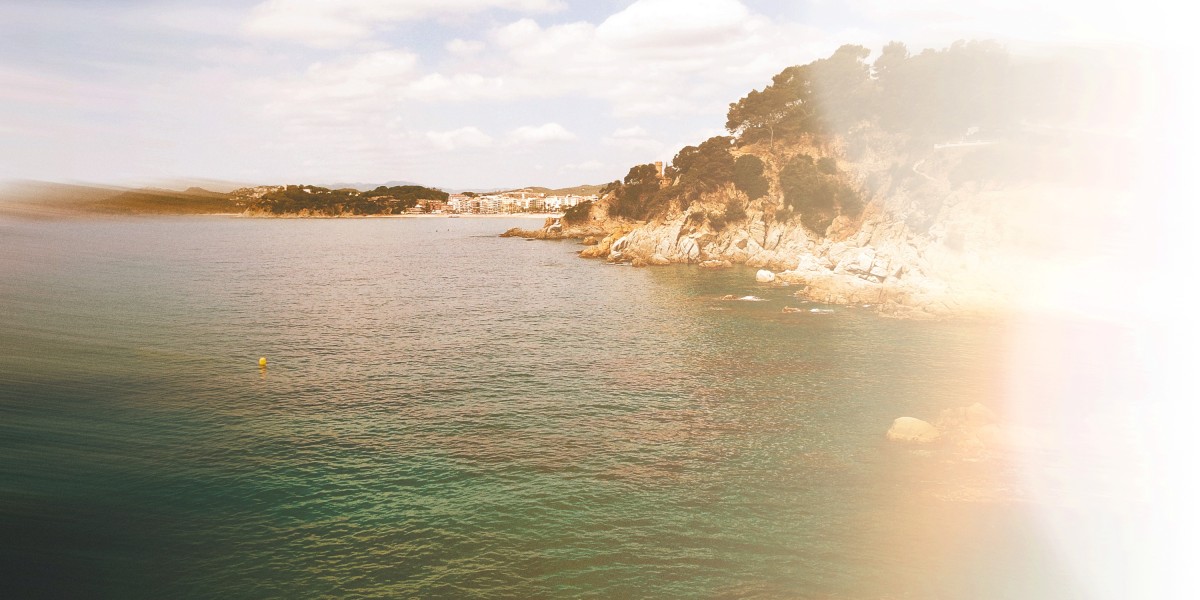 Comprehensive Study Report on Gold IRA Services