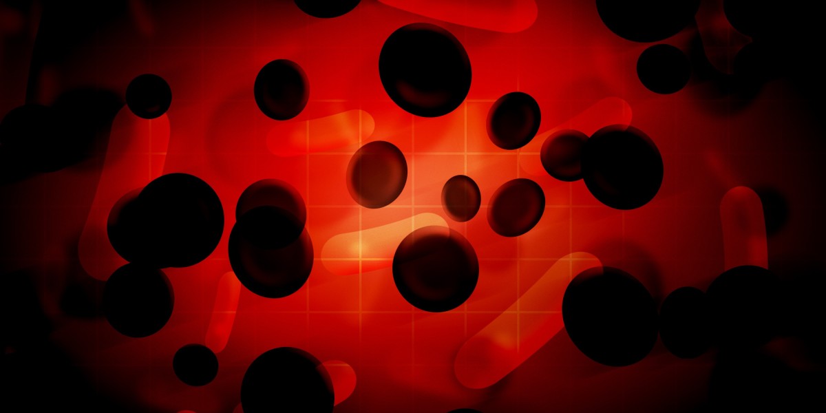 The Role of Birch Gold Group in Alternative Investment Strategies: A Comprehensive Analysis