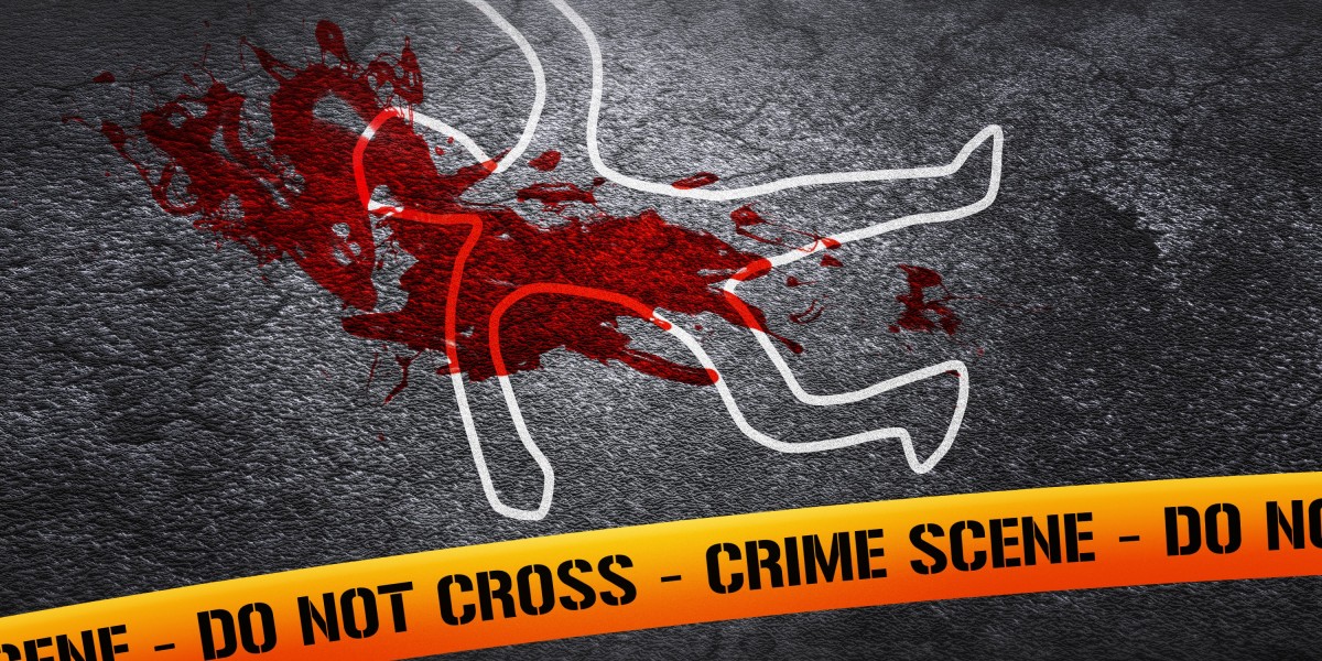 Exploring Self-Directed Gold and Silver IRAs: A Comprehensive Case Study