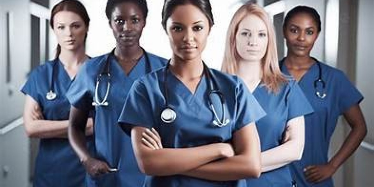 A Student-Focused Guide to Understanding and Completing NURS FPX 4015 Assessment Successfully