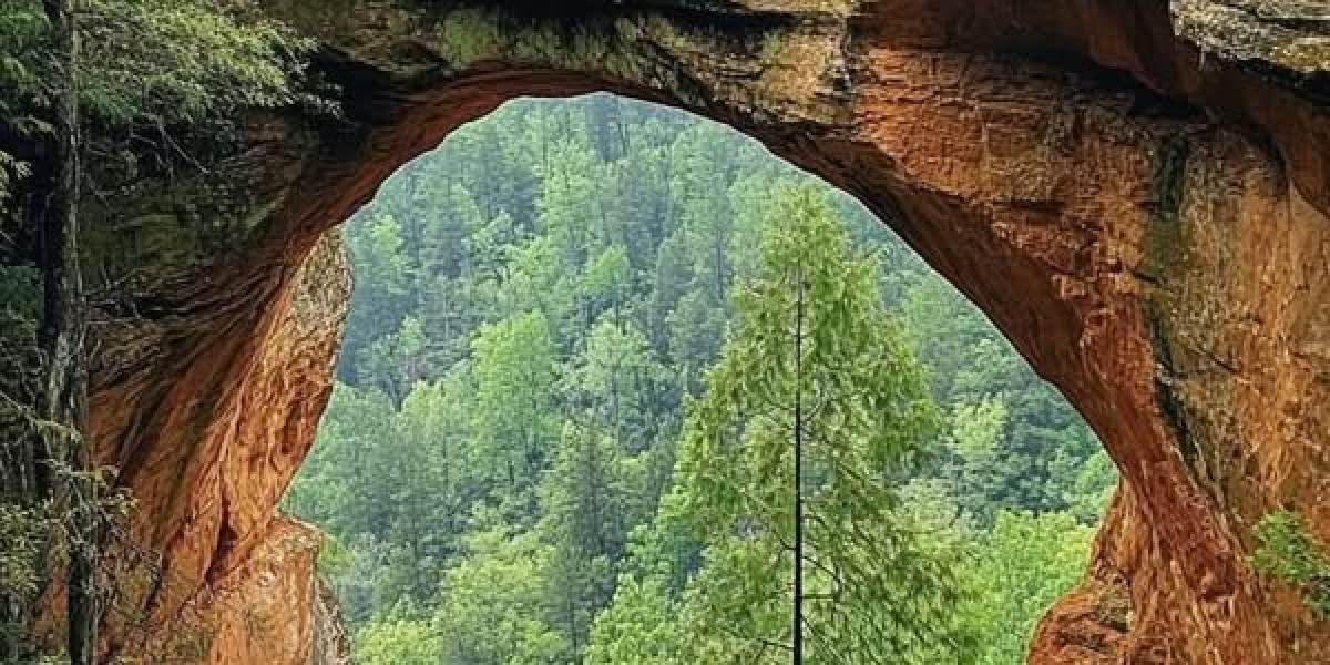 Corridor of Fame Polls: Jeff Kent