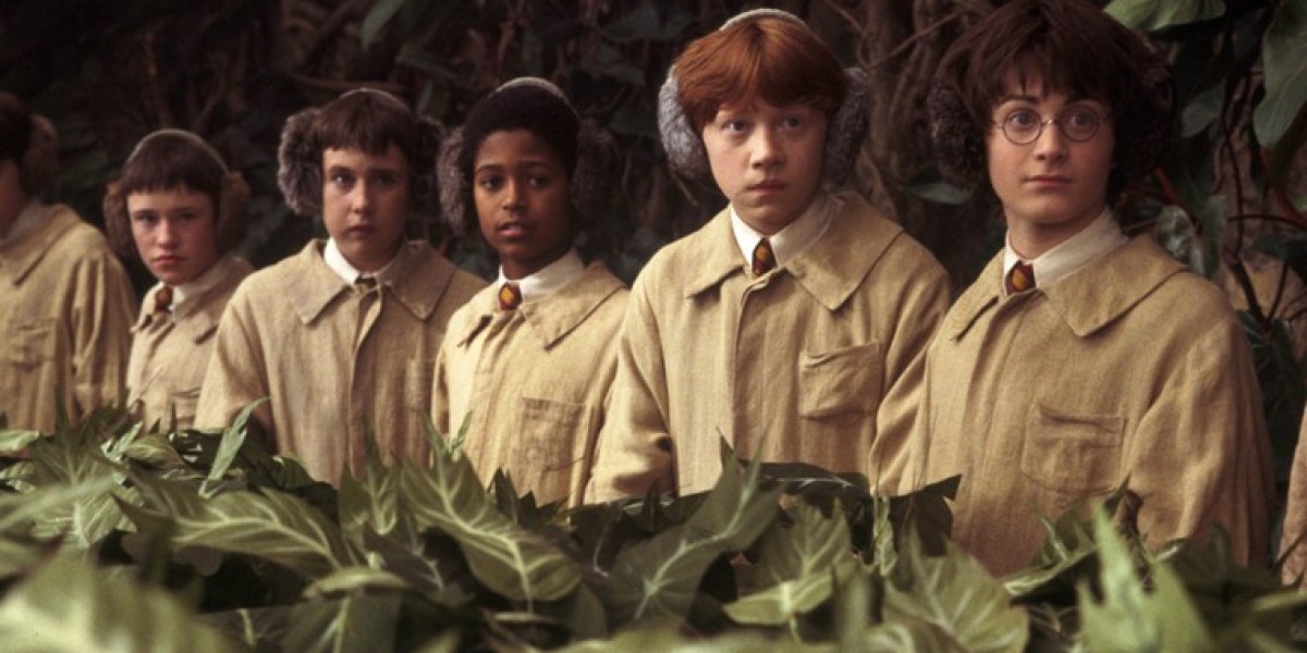Mandrakes and Magical Creatures – Warner Bros. Tour